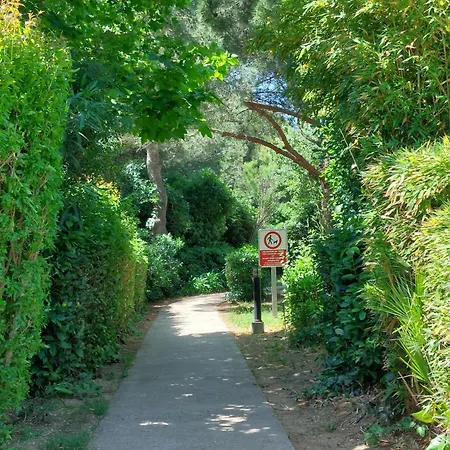 Appartement Les Rivages De Coudouliere-29 By Interhome Six-Fours-les-Plages