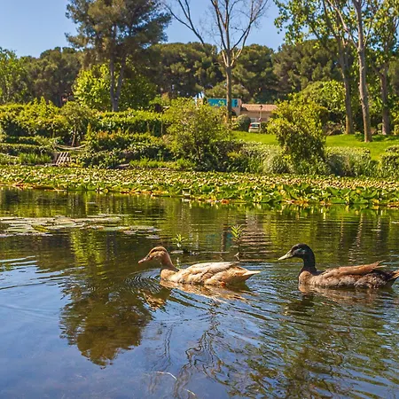 Les Rivages De Coudouliere-29 By Interhome * Six-Fours-les-Plages